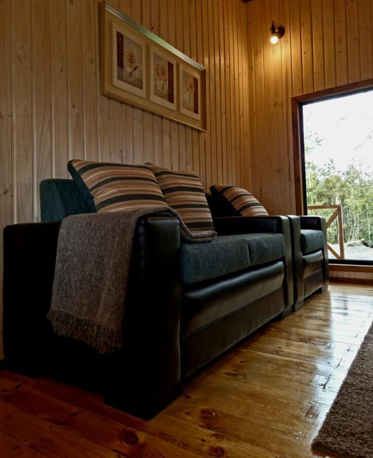 Cabana Los Coihues Apartment Puerto Montt Luaran gambar